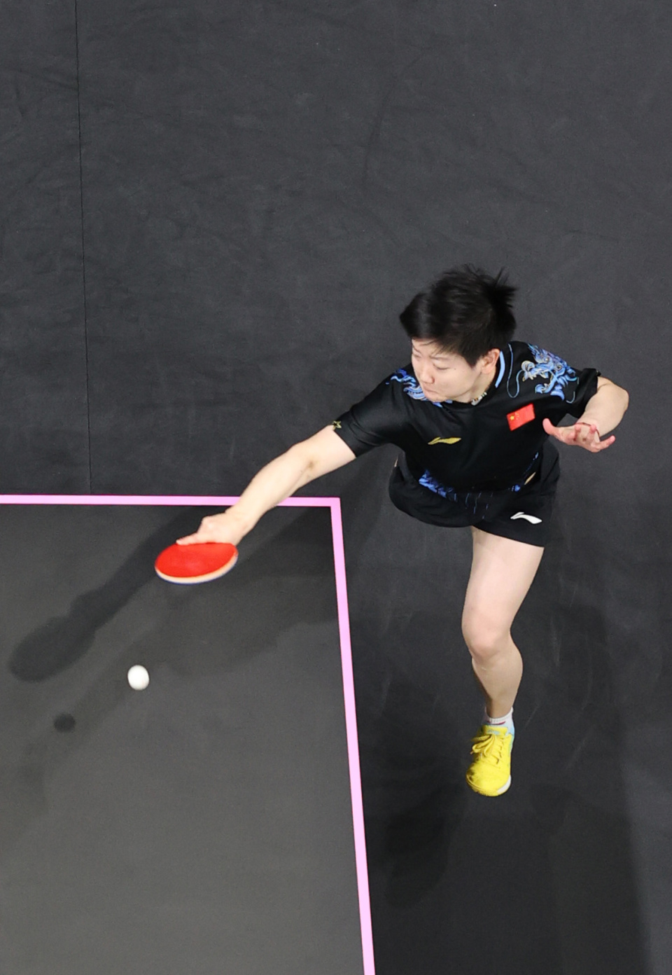 但她所展现 但她所展现