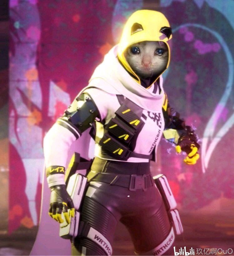 B费不回撤 B费不回撤