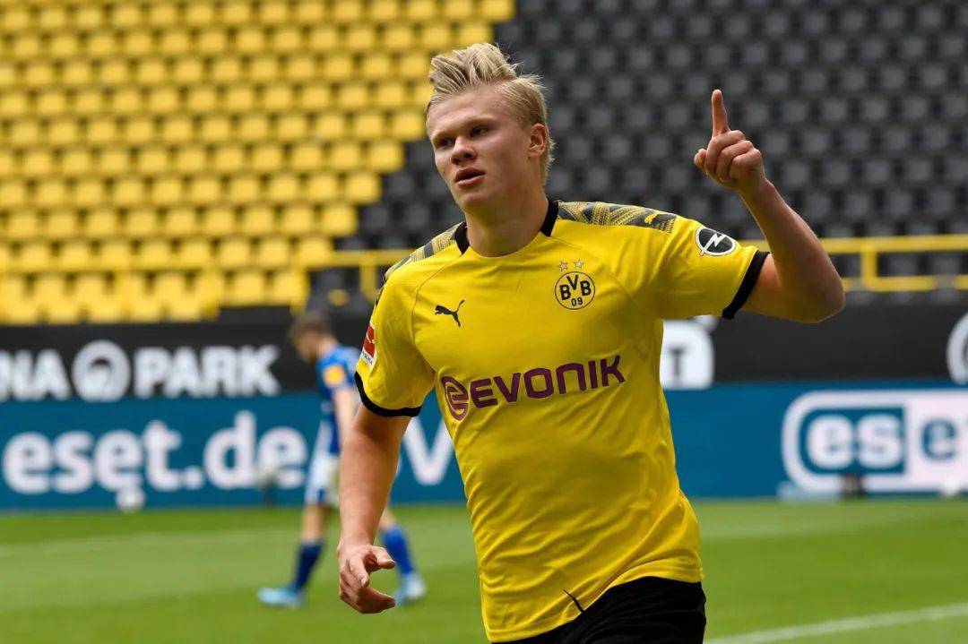 盖上鲜明烙 盖上鲜明烙